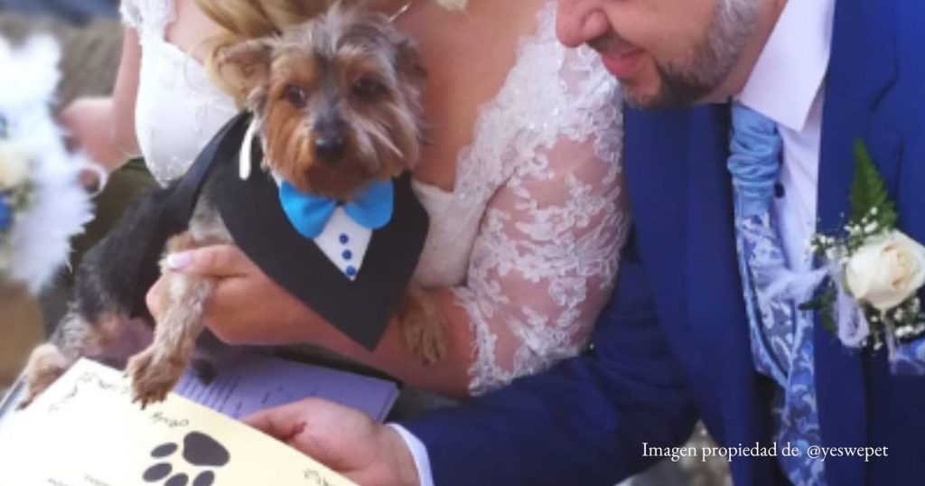 Una forma de que tu perro te acompañe el día de tu boda, es acompañándote en el momento de los votos. 